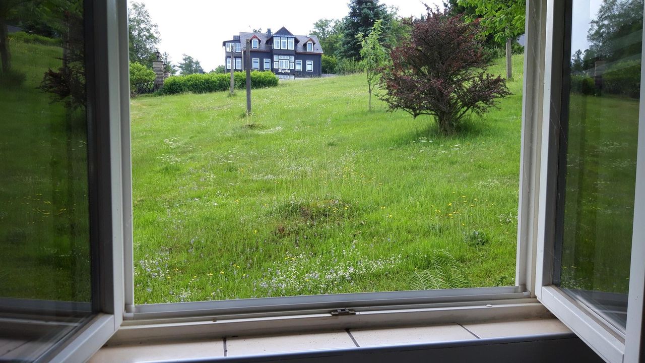 20210621_141823_resized 20210621_141823_resized